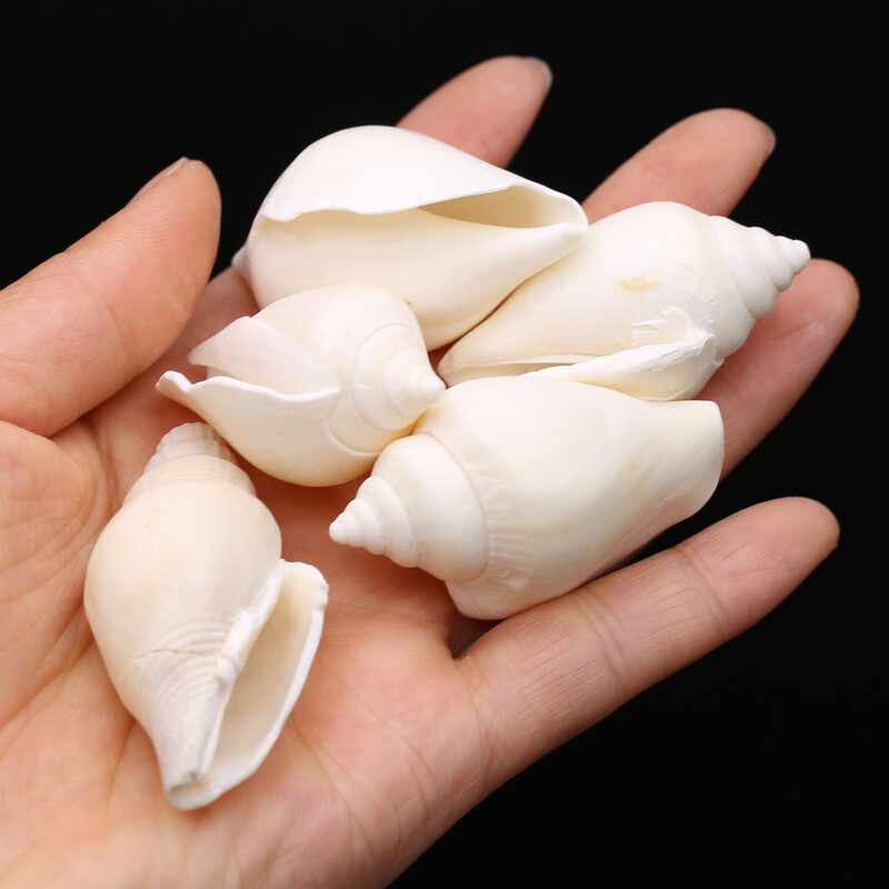 100g veľké prírodné biele mušle, remeslá, DIY prívesky na výrobu náramkov, náušnice, príslušenstvo, akvárium, ozdoba, dekorácia
