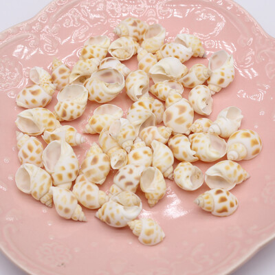 100g Cochilii naturale Conc Artizanat mic Bricolaj Brelocuri pentru confecţionarea brăţărilor Cercei Accesorii pentru bijuterii Decor pentru acvariu pentru acvariu