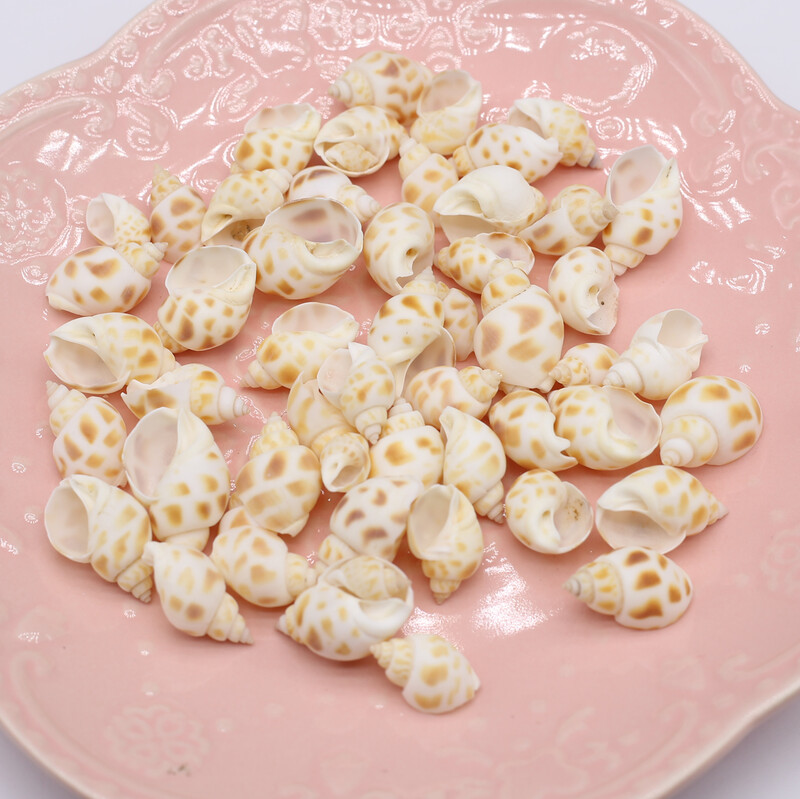 100g Cochilii naturale Conc Artizanat mic Bricolaj Brelocuri pentru confecţionarea brăţărilor Cercei Accesorii pentru bijuterii Decor pentru acvariu pentru acvariu