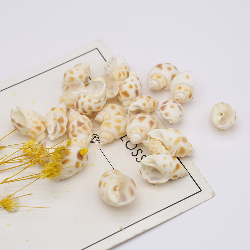 100g Cochilii naturale Conc Artizanat mic Bricolaj Brelocuri pentru confecţionarea brăţărilor Cercei Accesorii pentru bijuterii Decor pentru acvariu pentru acvariu