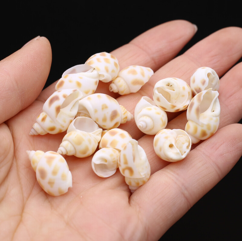 100g Cochilii naturale Conc Artizanat mic Bricolaj Brelocuri pentru confecţionarea brăţărilor Cercei Accesorii pentru bijuterii Decor pentru acvariu pentru acvariu
