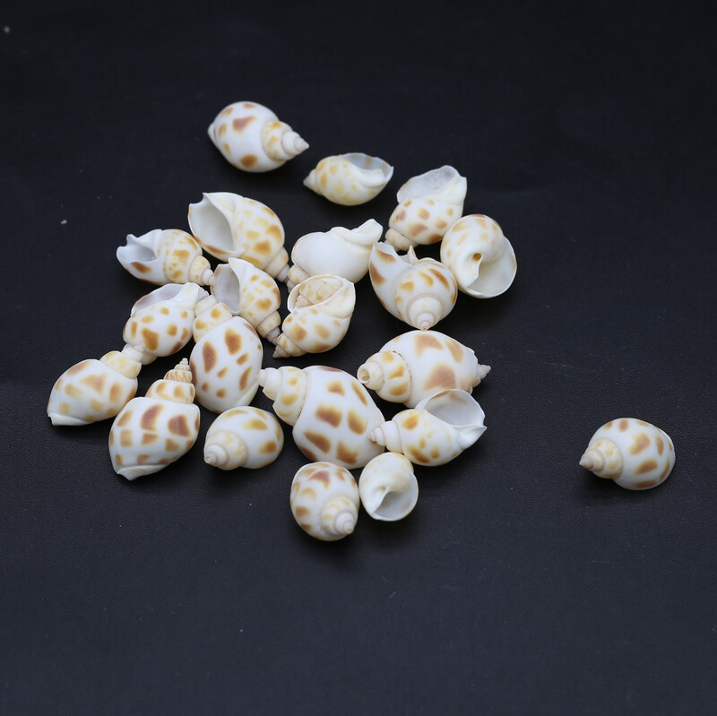 100g Cochilii naturale Conc Artizanat mic Bricolaj Brelocuri pentru confecţionarea brăţărilor Cercei Accesorii pentru bijuterii Decor pentru acvariu pentru acvariu