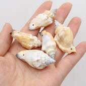 100g margele de carapace naturala de conca decor bijuterii, bricolaj, artizanat, bibelorie, acvariu, ornamente, decorare pentru casa