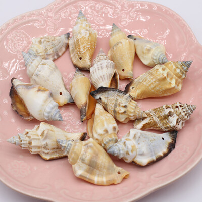 100g margele de carapace naturala de conca decor bijuterii, bricolaj, artizanat, bibelorie, acvariu, ornamente, decorare pentru casa