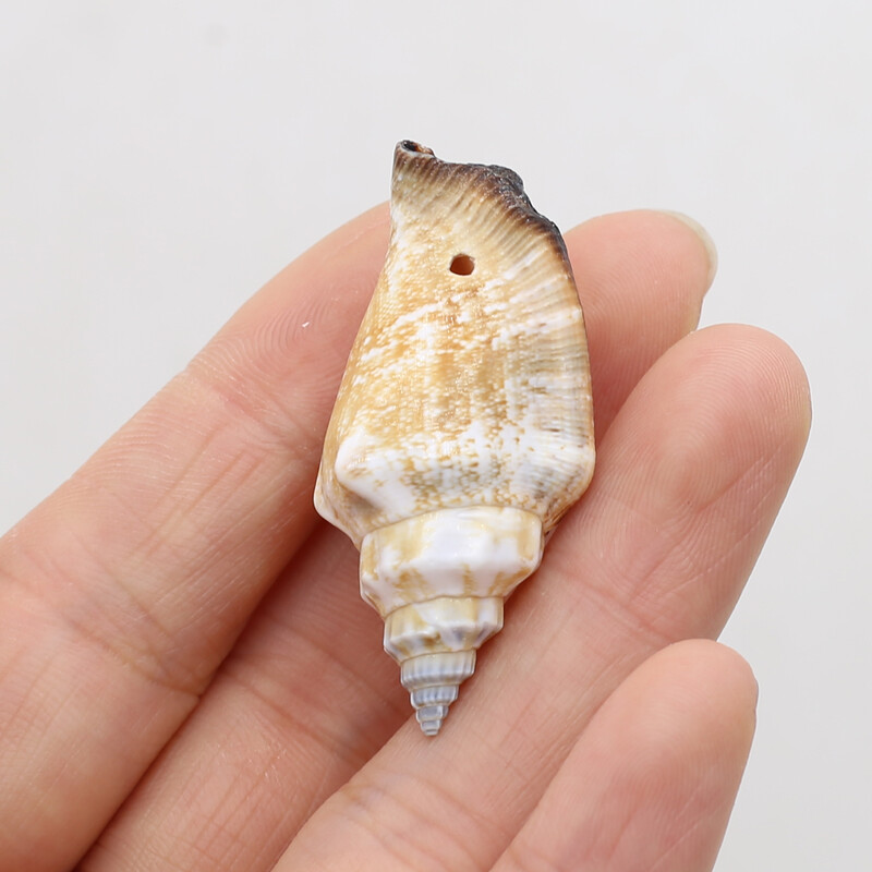 100g margele de carapace naturala de conca decor bijuterii, bricolaj, artizanat, bibelorie, acvariu, ornamente, decorare pentru casa