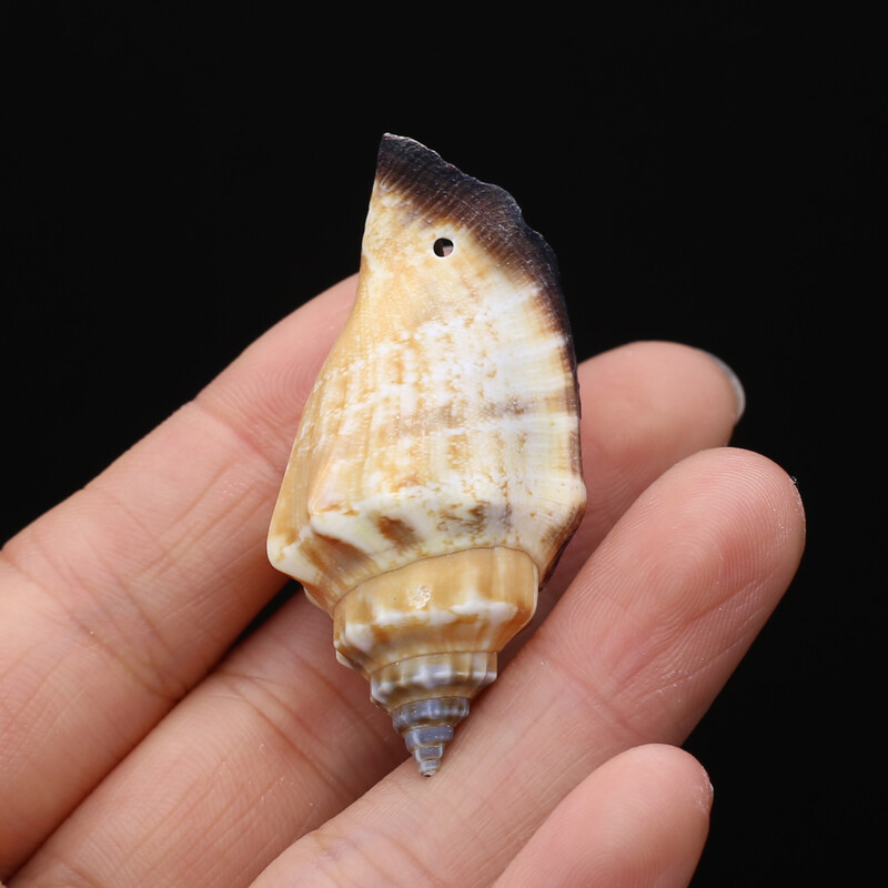 100g margele de carapace naturala de conca decor bijuterii, bricolaj, artizanat, bibelorie, acvariu, ornamente, decorare pentru casa