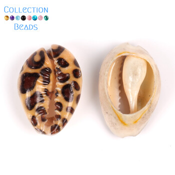 10-20mm Φυσικό Καφέ Λεοπάρ Κοχύλι Cowrie Conch Loose Spacer Beads Beach DIY for Jewelry Making Sea Shells βραχιόλι 10τμχ