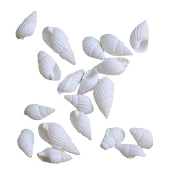 100 τμχ Mini Sea Shell Conches Craft Γάμος Κήπος Διακόσμηση Ενυδρείο Κοχύλι Κόγχες Ποικιλία θαλασσινών κοχυλιών Marine Life For,&