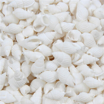 100τμχ Natural Craft Small Conch Shell Ενυδρείο Διακόσμηση δεξαμενής ψαριών Βάζο Γεμιστικό Σπίτι Γαμήλιο πάρτι Diy βραχιόλι Κολιέ χάντρες