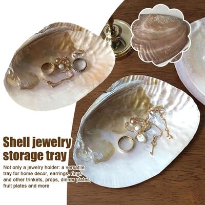 INS Korea Glass Shell dekoratív lemez ékszerek tárolása fotó háttér lemez ékszerek Natural Large Home Shell Nordic Props Q2E4