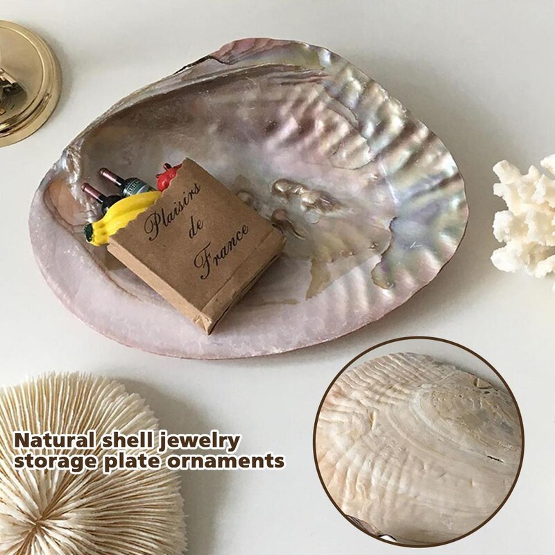 INS Korea Cochilie din sticlă Placă decorativă Depozitare bijuterii Placă de fundal foto Bijuterii Cochilie naturală mare pentru casă Recuzită nordică Q2E4