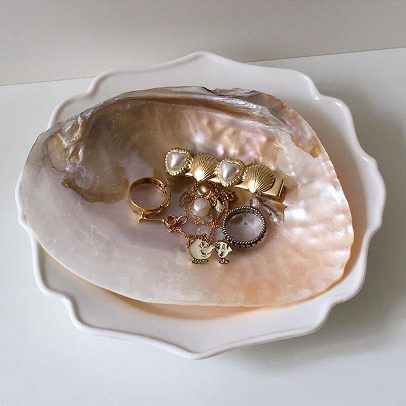 INS Korea Cochilie din sticlă Placă decorativă Depozitare bijuterii Placă de fundal foto Bijuterii Cochilie naturală mare pentru casă Recuzită nordică Q2E4