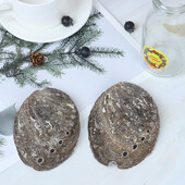 Φυσικά κοχύλια Abalone Seashells Home Ενυδρείο Τοπίο DIY Ναυτική διακόσμηση