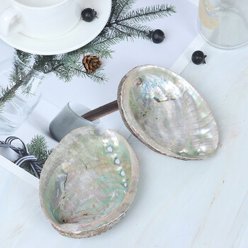 Φυσικά κοχύλια Abalone Seashells Home Ενυδρείο Τοπίο DIY Ναυτική διακόσμηση