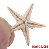 Αξεσουάρ χειροτεχνίας Starfish Διακόσμηση σπιτιού Shell Micro Landscape 100 τμχ/τσάντα