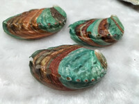 1 db természetes abalone kagyló kagylóhéj akvárium tájkép anyaga festés szoba dekoráció fényképezés kellékek 5-6 cm