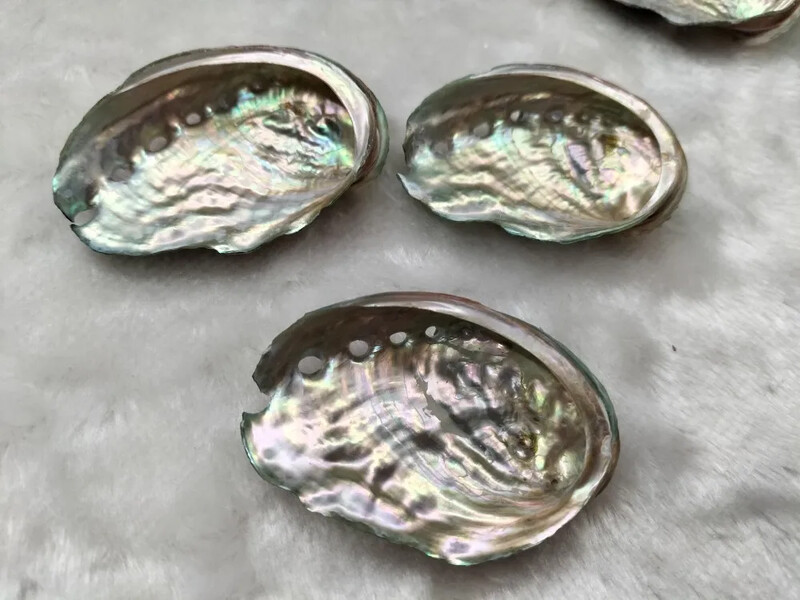 1 db természetes abalone kagyló kagylóhéj akvárium tájkép anyaga festés szoba dekoráció fényképezés kellékek 5-6 cm