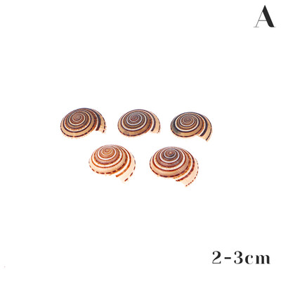 5db/tétel 20-40mm vegyes spirális kagylógyöngyök medálok Beach Craft természetes tengeri kagyló kézműves dekoráció barkács kézzel készített kiegészítők