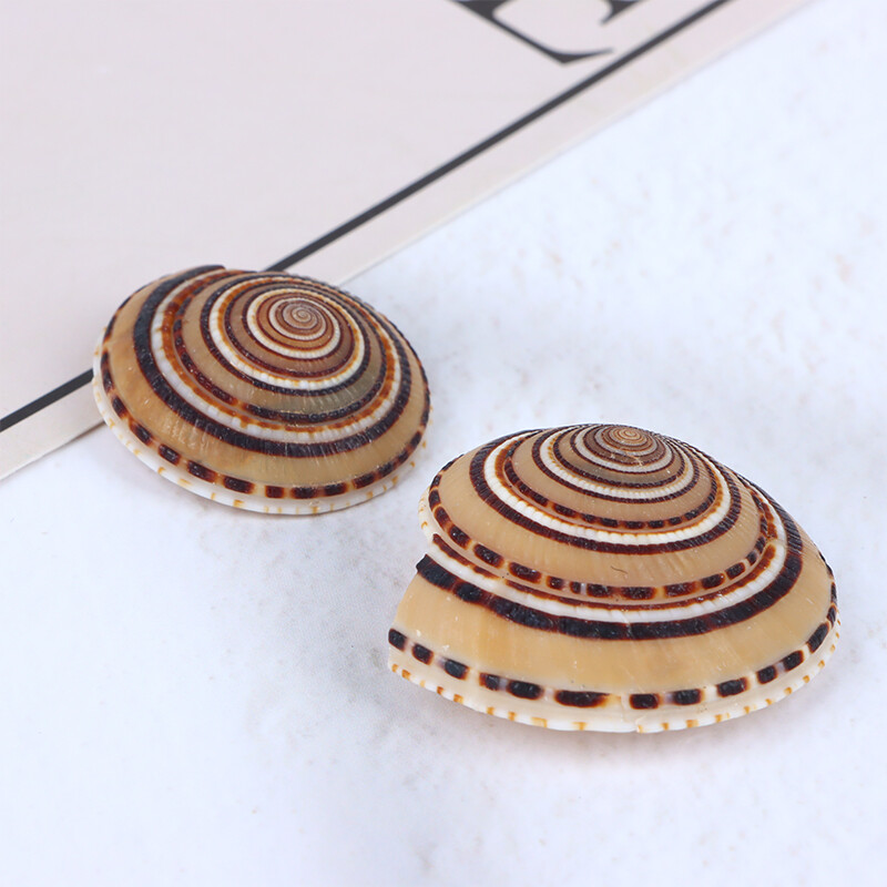 5db/tétel 20-40mm vegyes spirális kagylógyöngyök medálok Beach Craft természetes tengeri kagyló kézműves dekoráció barkács kézzel készített kiegészítők