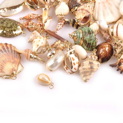 5 bucăți amestec aleatoriu scoici pentru meșteșuguri, accesorii, decorațiunea casei, bijuterii DIY, placată cu aur, cochilie naturală, pandantiv lucrat manual TR0251-2