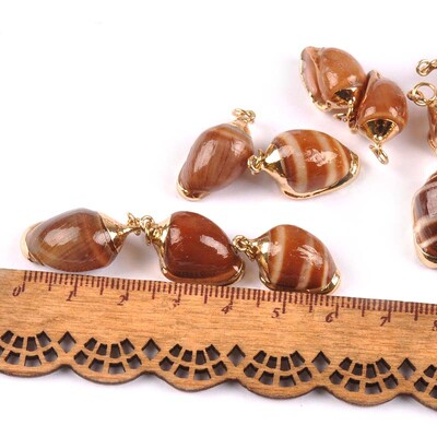 5 bucăți amestec aleatoriu scoici pentru meșteșuguri, accesorii, decorațiunea casei, bijuterii DIY, placată cu aur, cochilie naturală, pandantiv lucrat manual TR0251-2