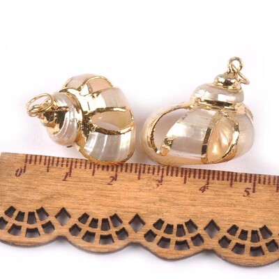 5 bucăți amestec aleatoriu scoici pentru meșteșuguri, accesorii, decorațiunea casei, bijuterii DIY, placată cu aur, cochilie naturală, pandantiv lucrat manual TR0251-2