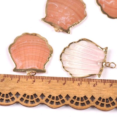 5 bucăți amestec aleatoriu scoici pentru meșteșuguri, accesorii, decorațiunea casei, bijuterii DIY, placată cu aur, cochilie naturală, pandantiv lucrat manual TR0251-2