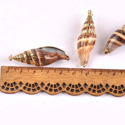 5 bucăți amestec aleatoriu scoici pentru meșteșuguri, accesorii, decorațiunea casei, bijuterii DIY, placată cu aur, cochilie naturală, pandantiv lucrat manual TR0251-2