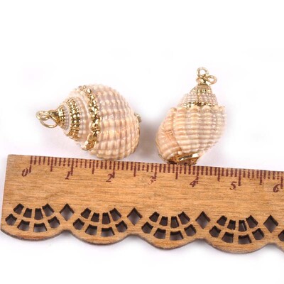 5 bucăți amestec aleatoriu scoici pentru meșteșuguri, accesorii, decorațiunea casei, bijuterii DIY, placată cu aur, cochilie naturală, pandantiv lucrat manual TR0251-2