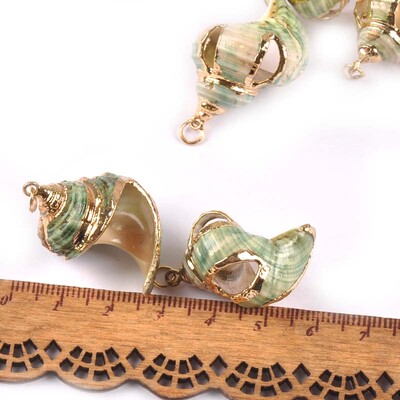 5 bucăți amestec aleatoriu scoici pentru meșteșuguri, accesorii, decorațiunea casei, bijuterii DIY, placată cu aur, cochilie naturală, pandantiv lucrat manual TR0251-2
