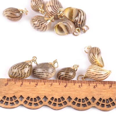 5 bucăți amestec aleatoriu scoici pentru meșteșuguri, accesorii, decorațiunea casei, bijuterii DIY, placată cu aur, cochilie naturală, pandantiv lucrat manual TR0251-2