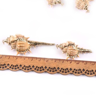 5 bucăți amestec aleatoriu scoici pentru meșteșuguri, accesorii, decorațiunea casei, bijuterii DIY, placată cu aur, cochilie naturală, pandantiv lucrat manual TR0251-2
