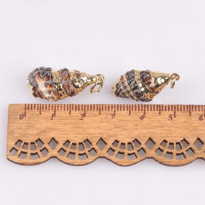 5 bucăți amestec aleatoriu scoici pentru meșteșuguri, accesorii, decorațiunea casei, bijuterii DIY, placată cu aur, cochilie naturală, pandantiv lucrat manual TR0251-2