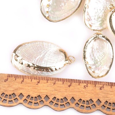 5 bucăți amestec aleatoriu scoici pentru meșteșuguri, accesorii, decorațiunea casei, bijuterii DIY, placată cu aur, cochilie naturală, pandantiv lucrat manual TR0251-2