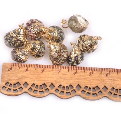 5 bucăți amestec aleatoriu scoici pentru meșteșuguri, accesorii, decorațiunea casei, bijuterii DIY, placată cu aur, cochilie naturală, pandantiv lucrat manual TR0251-2