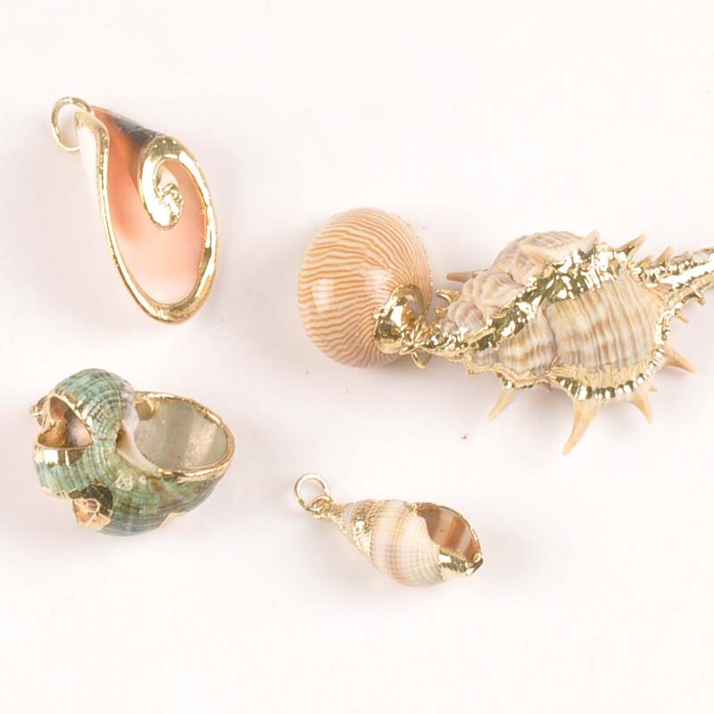 5 bucăți amestec aleatoriu scoici pentru meșteșuguri, accesorii, decorațiunea casei, bijuterii DIY, placată cu aur, cochilie naturală, pandantiv lucrat manual TR0251-2