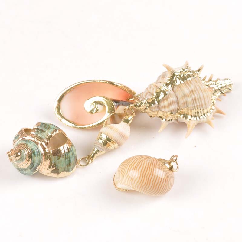 5 bucăți amestec aleatoriu scoici pentru meșteșuguri, accesorii, decorațiunea casei, bijuterii DIY, placată cu aur, cochilie naturală, pandantiv lucrat manual TR0251-2