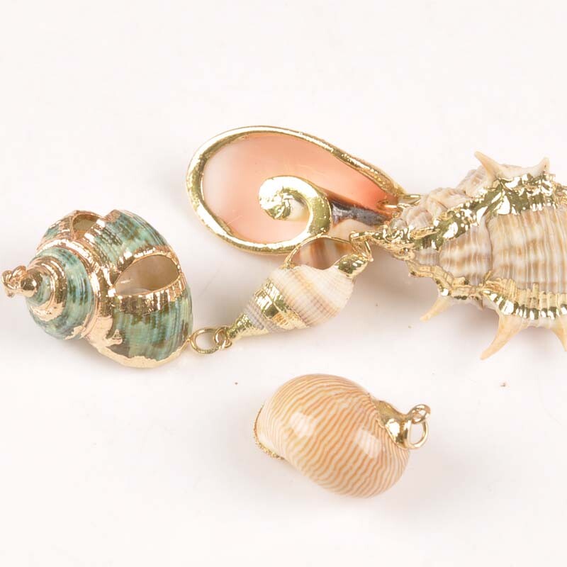 5 bucăți amestec aleatoriu scoici pentru meșteșuguri, accesorii, decorațiunea casei, bijuterii DIY, placată cu aur, cochilie naturală, pandantiv lucrat manual TR0251-2