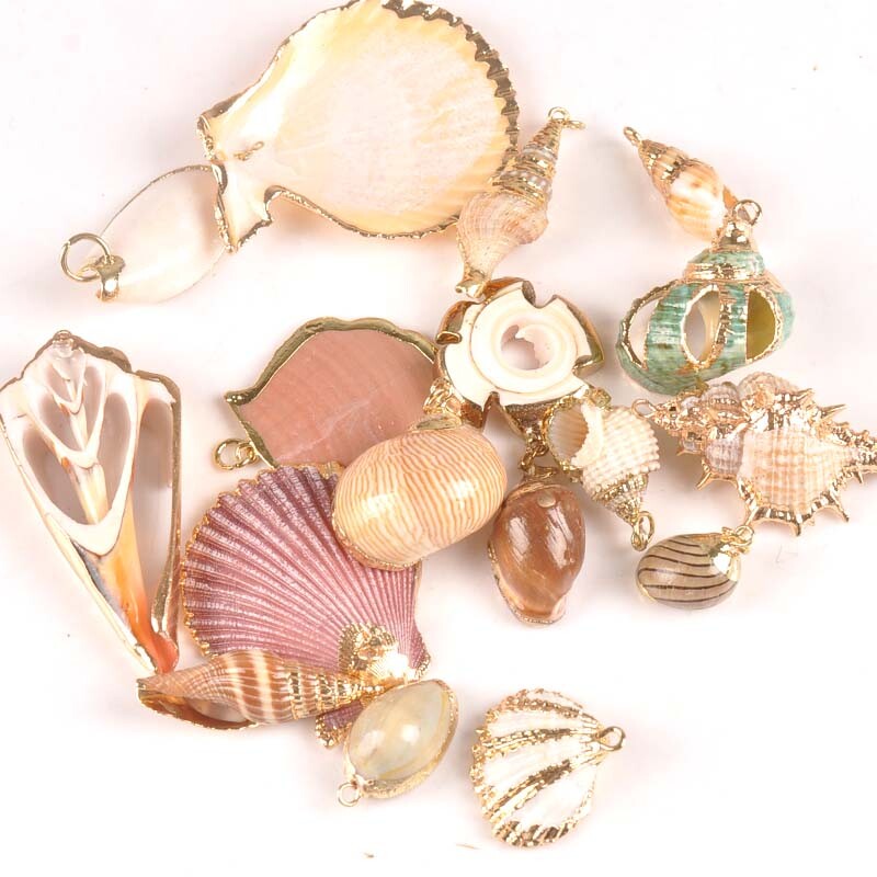 5 bucăți amestec aleatoriu scoici pentru meșteșuguri, accesorii, decorațiunea casei, bijuterii DIY, placată cu aur, cochilie naturală, pandantiv lucrat manual TR0251-2