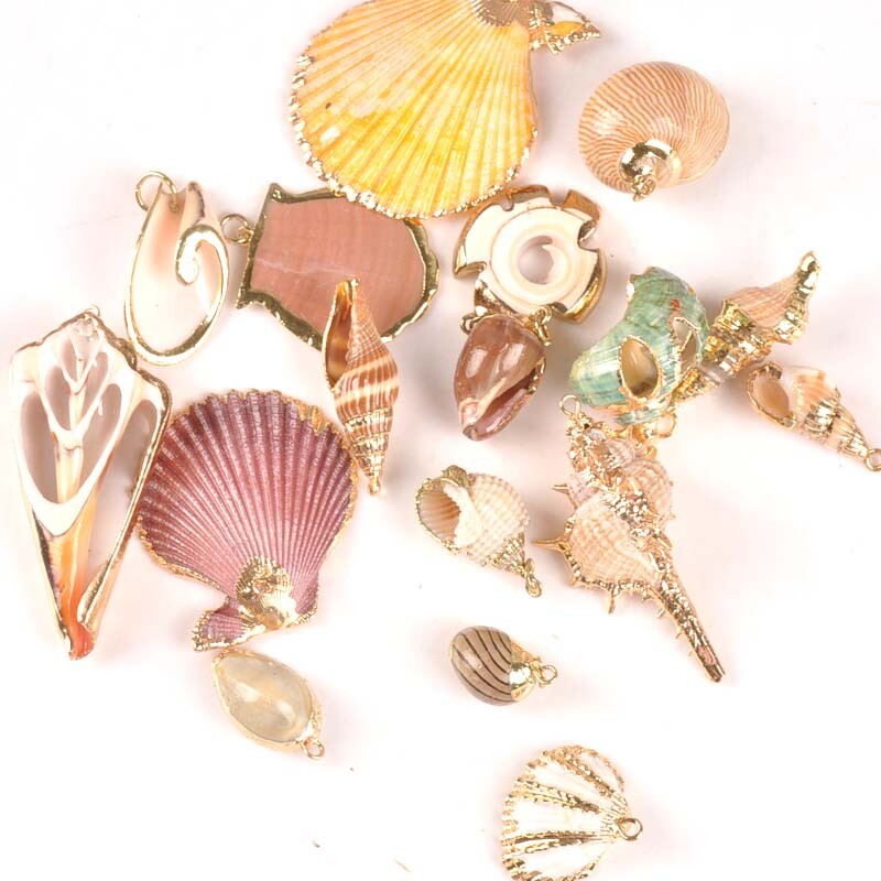 5 bucăți amestec aleatoriu scoici pentru meșteșuguri, accesorii, decorațiunea casei, bijuterii DIY, placată cu aur, cochilie naturală, pandantiv lucrat manual TR0251-2
