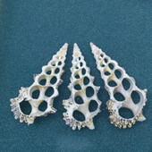 Джули Уанг 7-9 см естествена раковина с кухи резени талисмани Seashell Beach Aquarium Decor Ръчно изработени аксесоари за изработка на бижута