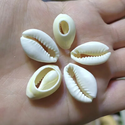 Джули Уанг 7-9 см естествена раковина с кухи резени талисмани Seashell Beach Aquarium Decor Ръчно изработени аксесоари за изработка на бижута