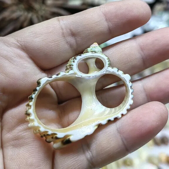 Джули Уанг 7-9 см естествена раковина с кухи резени талисмани Seashell Beach Aquarium Decor Ръчно изработени аксесоари за изработка на бижута