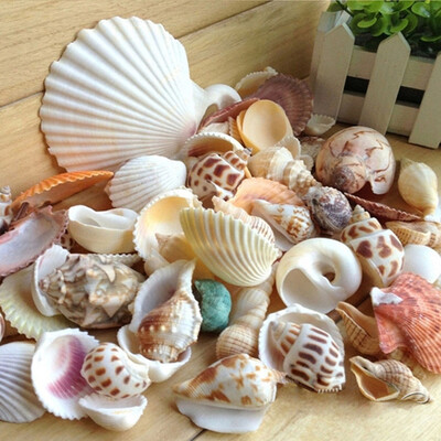 200g/συσκευασία Natural Beach Shell&Conch SeaShells Aquarium Fish Tank Decoration Landscaping