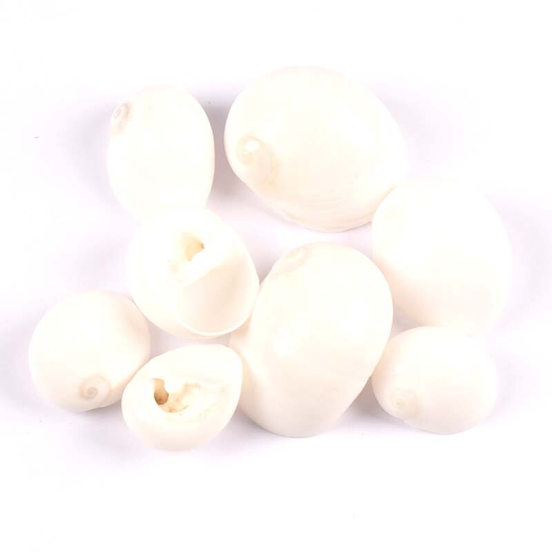 4db natúr spirális kagyló Scrapbooking kézműves fehér/barna kagylók akvárium díszekhez otthoni barkács dekoráció 3-5cm TRS0429