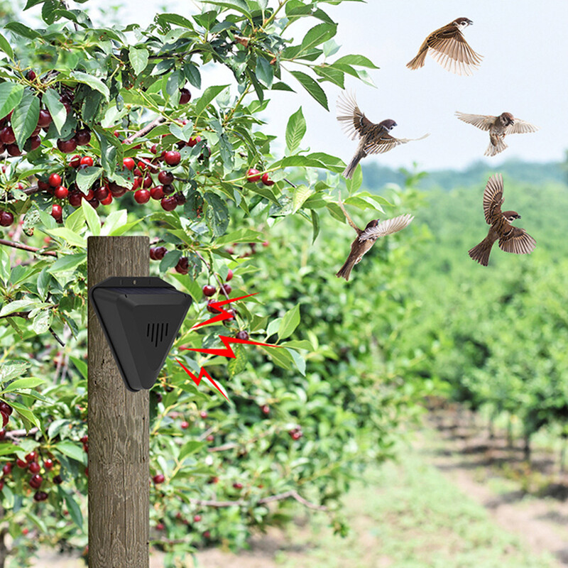 Sursă solară, în aer liber, antipăsări, detector automat de alarmă de securitate, potrivit pentru ferme, livezi, câmpuri, grădină de casă