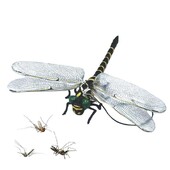 Μοντέλο Dragonfly Απωθητικό κουνουπιών Mini Dragonfly Ornament Simulation Μοντέλο ζώου Dragonfly για υπαίθριο αγρόκτημα κήπου