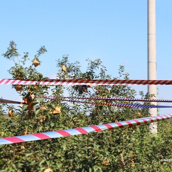 Αντανακλαστική ταινία που αναβοσβήνει Bird Scare Pigeons Crow Keep Away Αυτοκόλλητη ταινία διπλής όψης Bird Repeller Pest Control