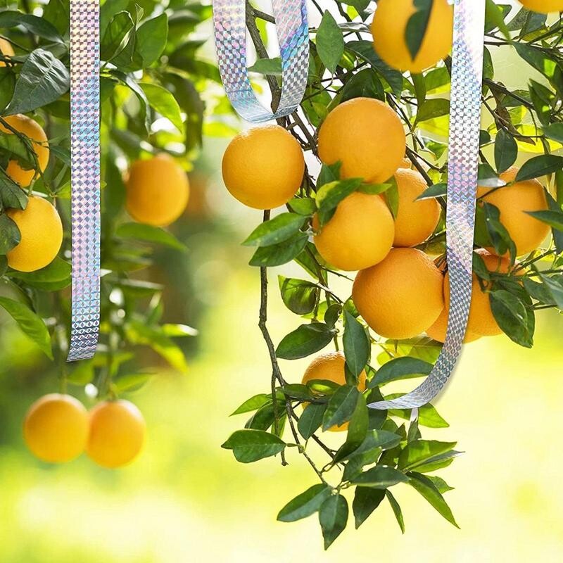 Kétoldalas fényvisszaverő szalag madárterelő ablakokhoz Kétoldalas fényvisszaverő szalag kültéren a harkálygalambok távoltartására