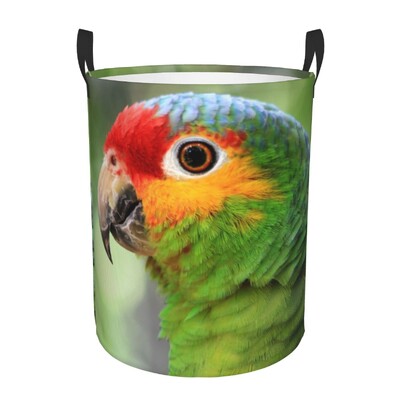 Coș de rufe personalizat, drăguț, papagali tropicali, păsări, coș de rufe cu capacitate pliabilă, coș de depozitare pentru îmbrăcăminte, Cockatiel Macaw Papagal, coș pentru copii